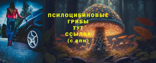 a pvp Белокуриха
